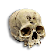 Numskull