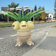 Bandziorek