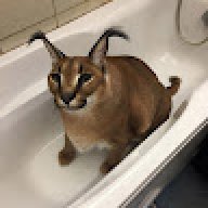 O O