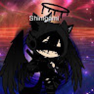 S.I.N