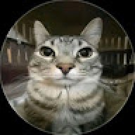 mulec