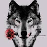 _Wolf