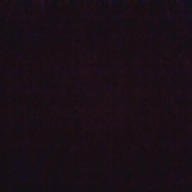 Julio_2345