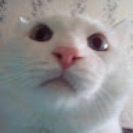 4yDeca_Ha_BuPaIIIax