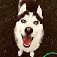 CuKo