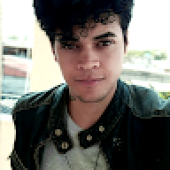 hollytoom