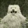 pppyyuu