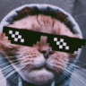 nonameguy.