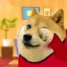 DogeB