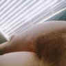 hairybushfun62