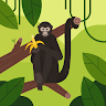 monkeyman70