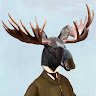 Anonymoose00001