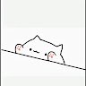 bongo cat7