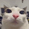 bteergetbrvdcsd