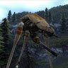 Stridur