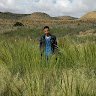 hichem wa