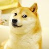 Doge The y