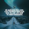 Armando56548