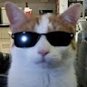 meowegirl999999