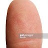The Thumb