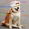 mwizardfox)