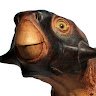 Psittico