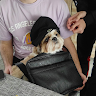 SneaKiZ