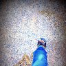 dinesh v