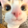 mmmminty