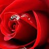 Js.r