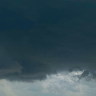 Travis Banner
