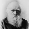 Darwin 5tero