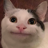 Wdahit1