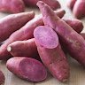Batata Doce