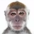 agwaTVA4