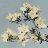 spring_1178