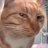SussyCatussy