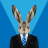 jackrabbit1512