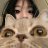 LIKECATS