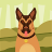 wilki
