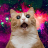 space cats