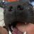 Frederico :