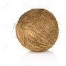 1coconut