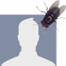 BalanSarrola