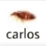 CarlosMTV50