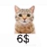 Dahpig57