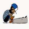 Dawg891
