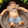 GnomeLander14