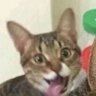 Kroksax