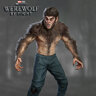 MrWerwolf00788